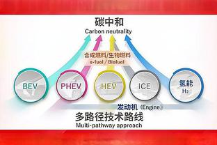 年度盘点之交易篇：登杜威欧炮表？历史上最为炸裂的交易年？